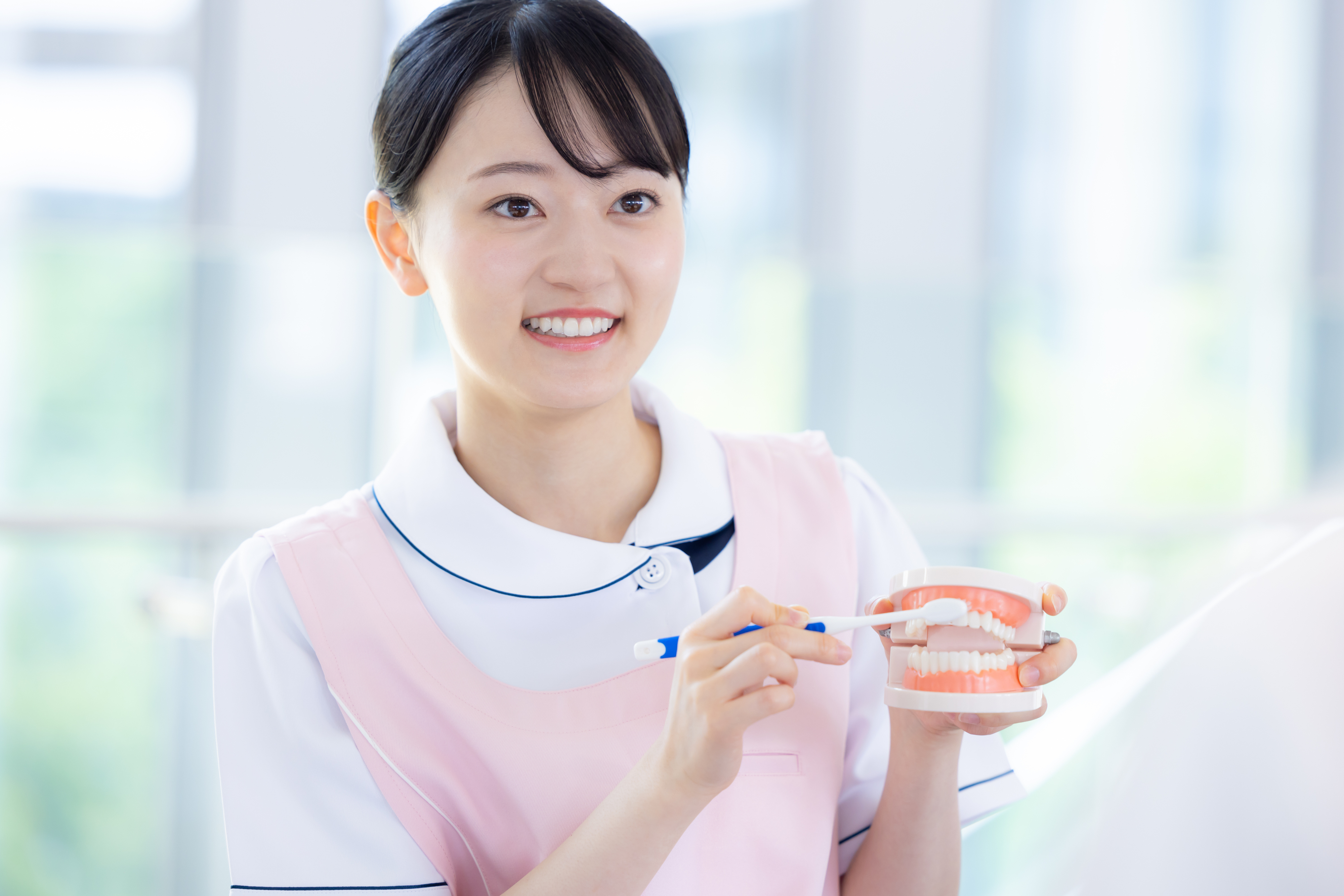 歯の模型を手に持つ歯科衛生士
